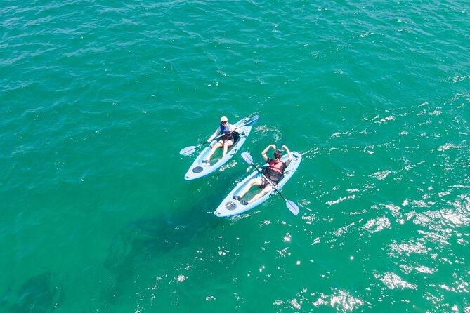 Guided Kayak Tour of Manly Cove Beaches - Snacks, hot drinks, and the small comforts that save your energy