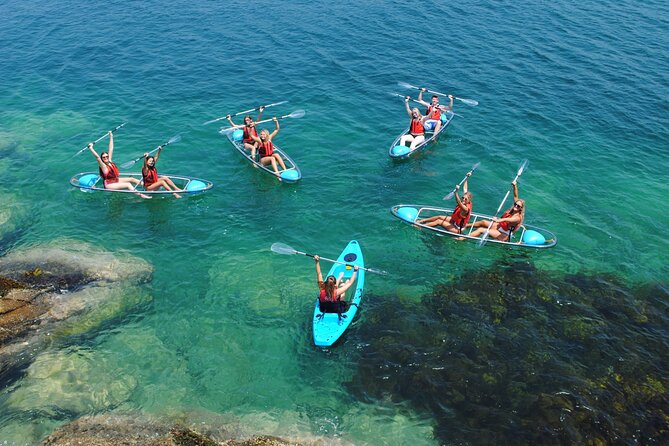 Guided Kayak Tour of Manly Cove Beaches - Small-group comfort: gear, drybags, and hands-on guides