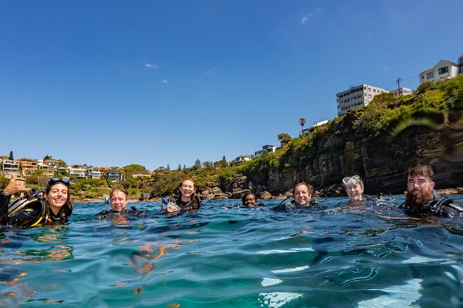 Guided Snorkeling Experience in Bondi - Price and what you actually get for $77.46