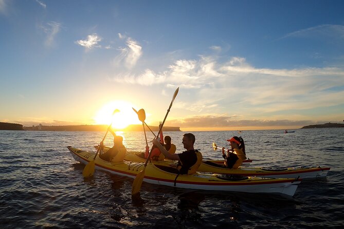 Guided Snorkeling Experience in Bondi - Languages on the briefing: a real-world comfort boost