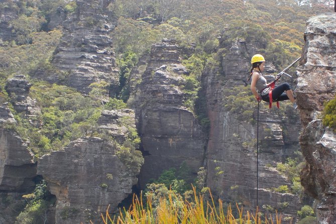 Half-Day Abseiling Adventure in Blue Mountains National Park - Weather, What to Wear, and How Conditions Are Handled