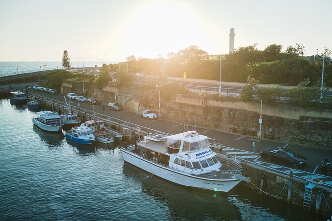 Half-Day Deep Sea Fishing in Wollongong - Weekdays only - Where you fish: from Wollongong Harbour out to 10Nm offshore