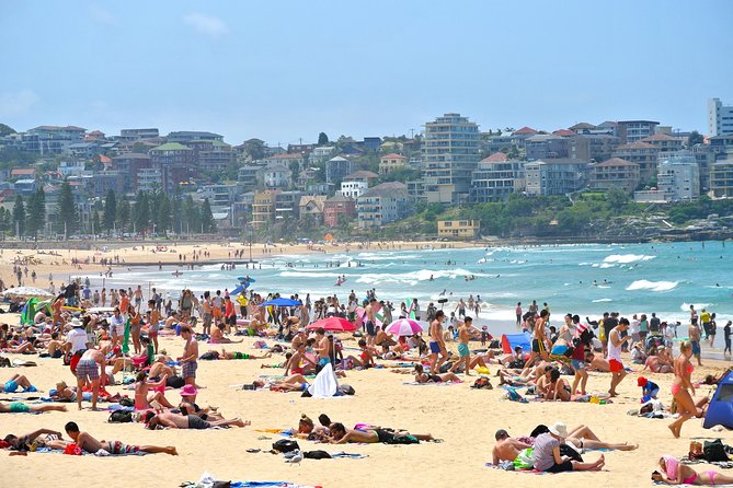 Half-Day or Full-Day Private Guide Hire From Sydney - Starting With Pickup and a 4-Hour Plan That Doesn’t Waste Time