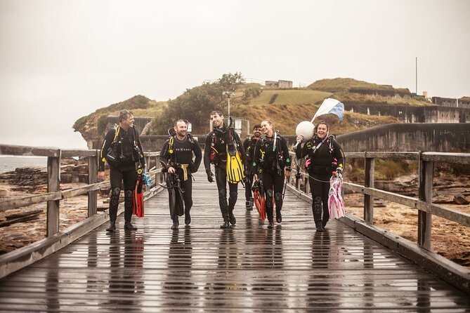 Half-Day Private Discover Dive at Australia's Iconic Beach - Key things to know before you go