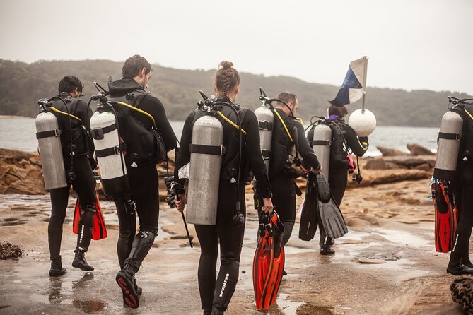 Half-Day Private Discover Dive at Australia's Iconic Beach - Sydney’s Sea Life: The Moments You’ll Remember