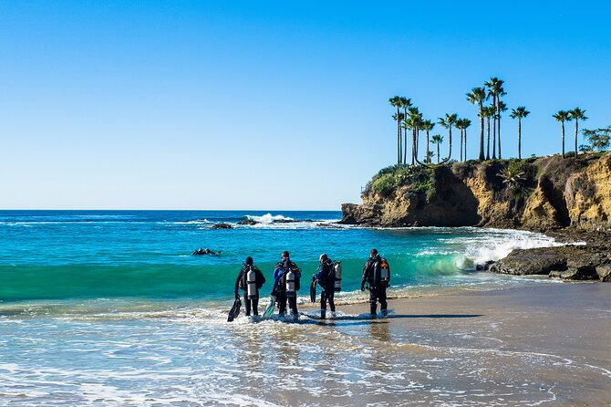 Half-Day Private Discover Dive at Australia's Iconic Beach - Your Instructor’s Role: Names That Keep Coming Up