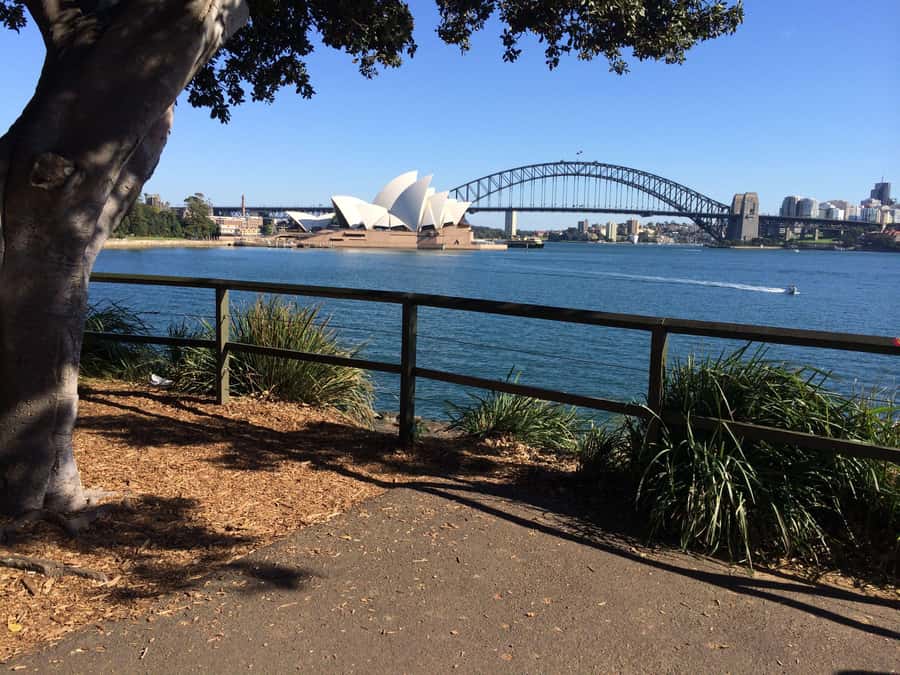 Half Day Small Group : The Story of Sydney Tour - Paddington, Darlinghurst, and Chinatown: Where the City’s Character Shows Up