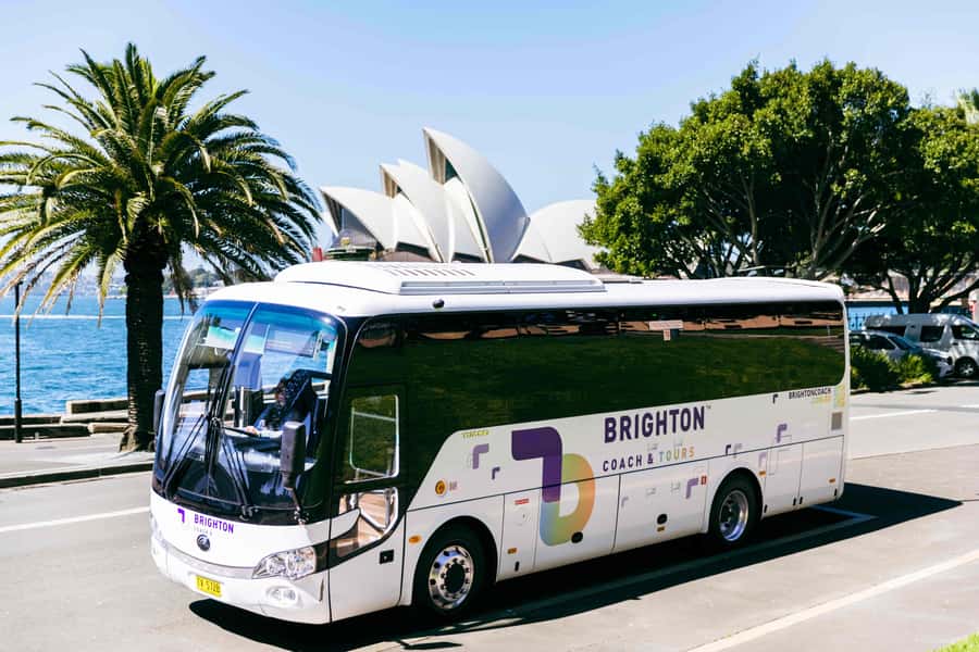 Half Day Sydney Sightseeing Tour - The Rocks & Bondi Beach - Bondi Beach: time at the Pavilion, then freedom on the sand