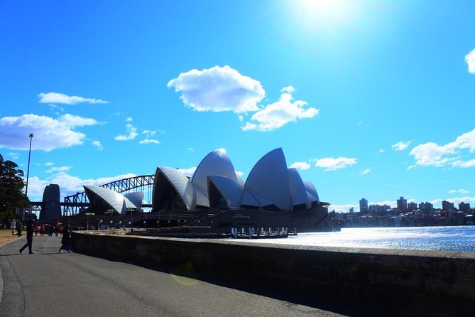 Harbour Sights Running Tour - Hyde Park launch: Archibald Fountain to Mrs Macquarie’s Chair