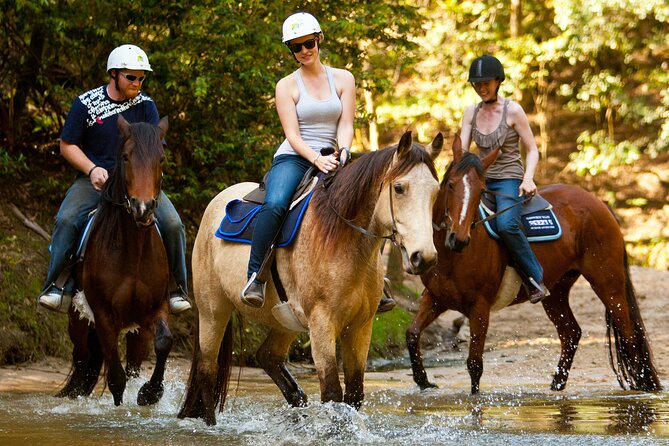 Horse Riding, Koalas & Kangaroos - Wild Australia: Private Tour - Key highlights worth getting excited about