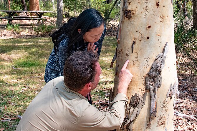 Horse Riding, Koalas & Kangaroos - Wild Australia: Private Tour - Berowra Waters: bushwalk time and Aboriginal rock art