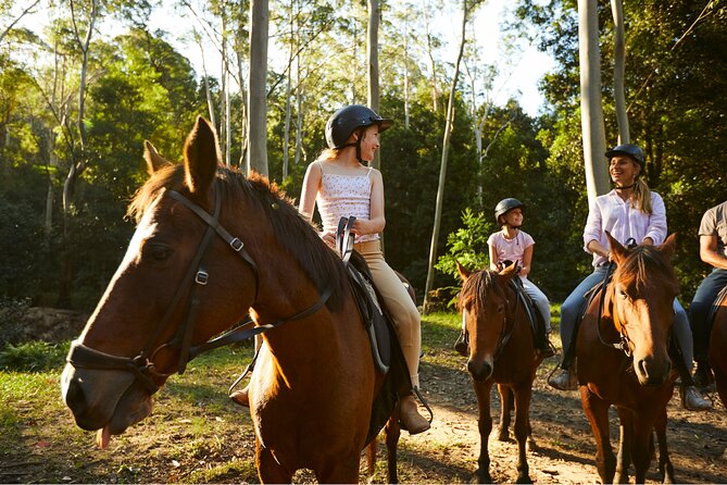 Horse Riding, Koalas & Kangaroos - Wild Australia: Private Tour - Glenworth Valley horseback riding in native bush country
