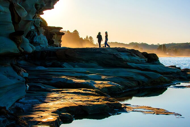 Horse Riding, Koalas & Kangaroos - Wild Australia: Private Tour - Warrah Lookout: a short stop with big bat energy