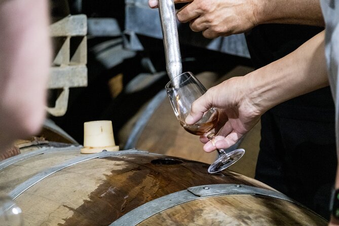 Hunter Valley All Inclusive, Wine, Chocolate Tasting and Lunch - First Stop at Sobel’s Winery: A Working Vineyard Start