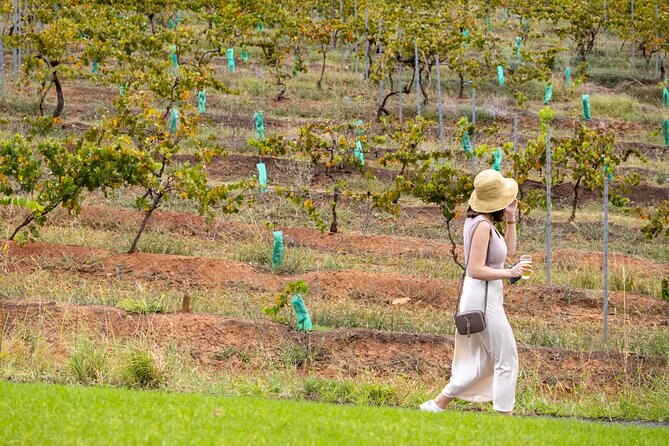 Hunter Valley All Inclusive, Wine, Chocolate Tasting and Lunch - Drayton’s Family Wines: 160+ Years and a Structured Tasting
