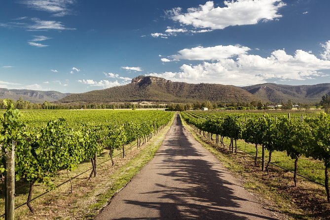 Hunter Valley Highlights Private Wine Tour from Sydney - Hall of Food at the Hunter Valley Cheese Shop: quick, tasty fuel