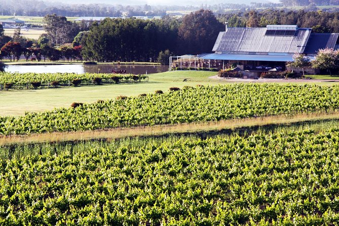 Hunter Valley Private Wine Tasting Tour from Sydney - Key things to know before you go