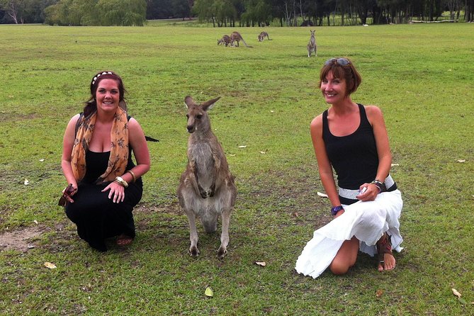 Hunter Valley Private Wine Tasting Tour from Sydney - Winery number one: the first guided tasting moment
