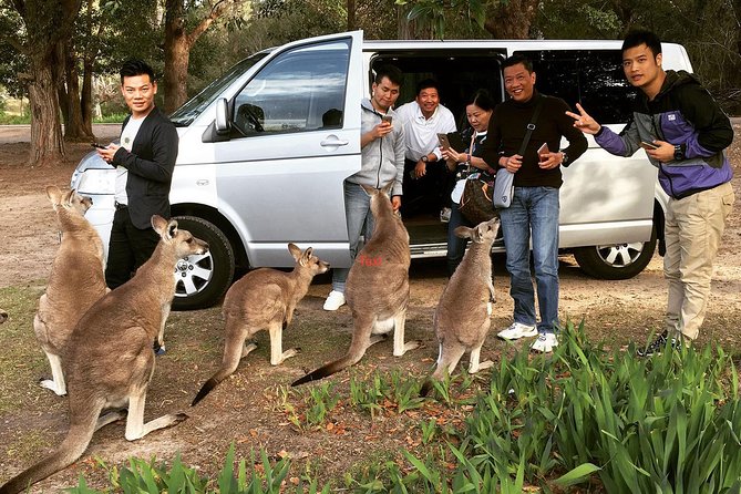 Hunter Valley Private Wine Tasting Tour from Sydney - Winery number three: the smaller, more intimate finish