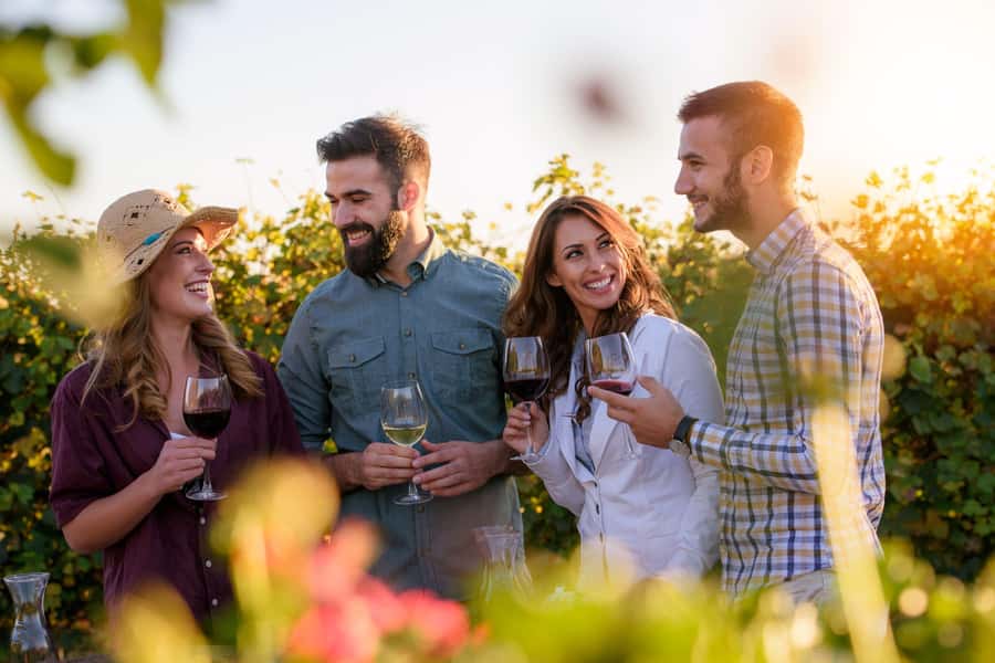 Hunter Valley: Wine, Chocolate and Lunch All Inclusive Tour - Sobels Wines: The Behind-the-Scenes Start You’ll Remember