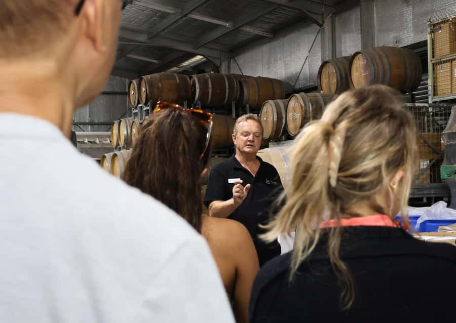 Hunter Valley: Wine, Chocolate and Lunch All Inclusive Tour - 4 Pines at the Farm + Cellarmasters: Tasting, Lunch, and Valley Views