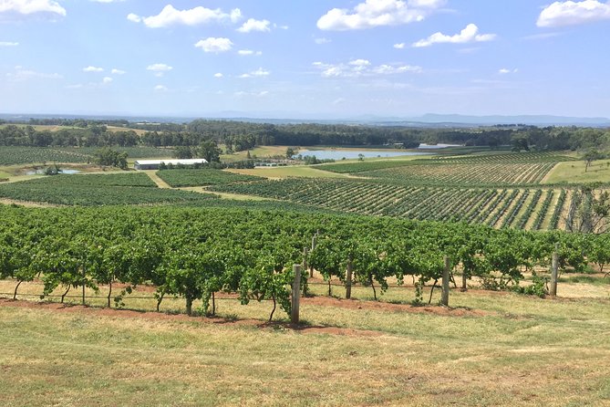 Hunter Valley Wine Tasting Private Tour From Sydney - Taste of the Country: Lunch at the Hunter Valley Village