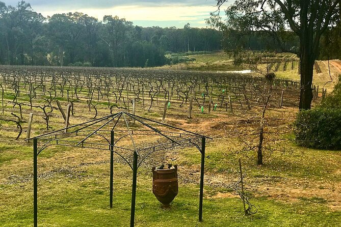 Hunter Valley Wine Tour from Sydney: 3 Wineries & Vineyard Picnic - Stop 1 in the Cellar: Sobel’s Winery and the Production Tour
