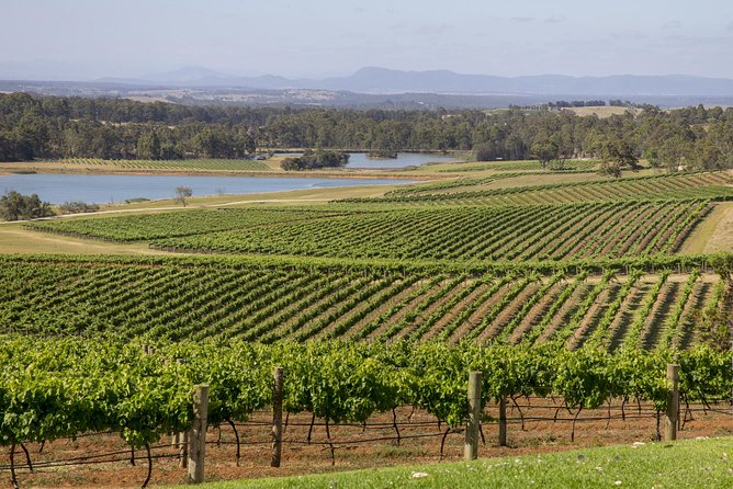 Hunter Valley Wine Tour from Sydney with Lunch and 3 Cellar Door Tastings - Smelly Cheese Shop: education, sampling, and timing