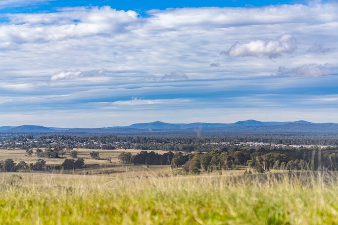 Hunter Valley Wine Tour from Sydney with Lunch and 3 Cellar Door Tastings - Cheese, chocolate, and the kangaroos you might spot on the way