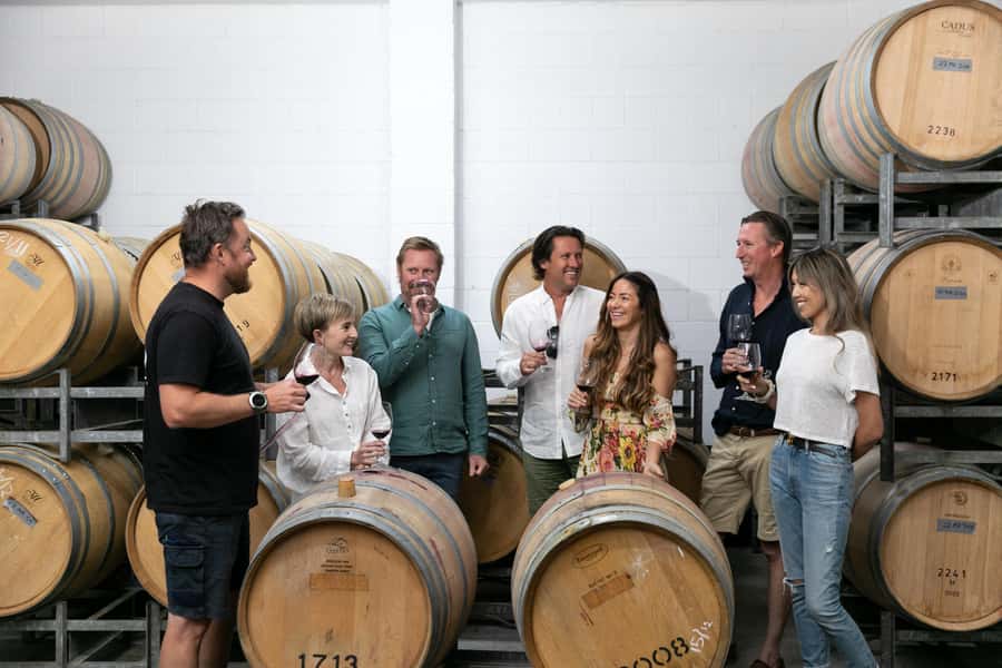 Hunter Valley: Wine Tour with 2-Course Lunch, Choc & Cheese - Audrey Wilkinson Winery: Classic Hunter Valley Views and a Historic Estate