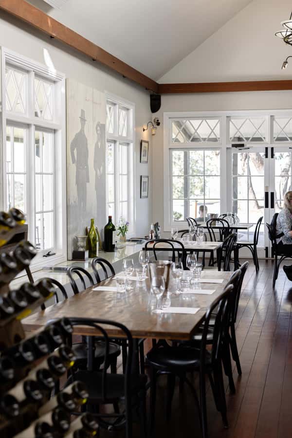 Hunter Valley: Wine Tour with 2-Course Lunch, Choc & Cheese - Mount Pleasant Wines: Estate Stories and a Rare Pinot Noir Moment
