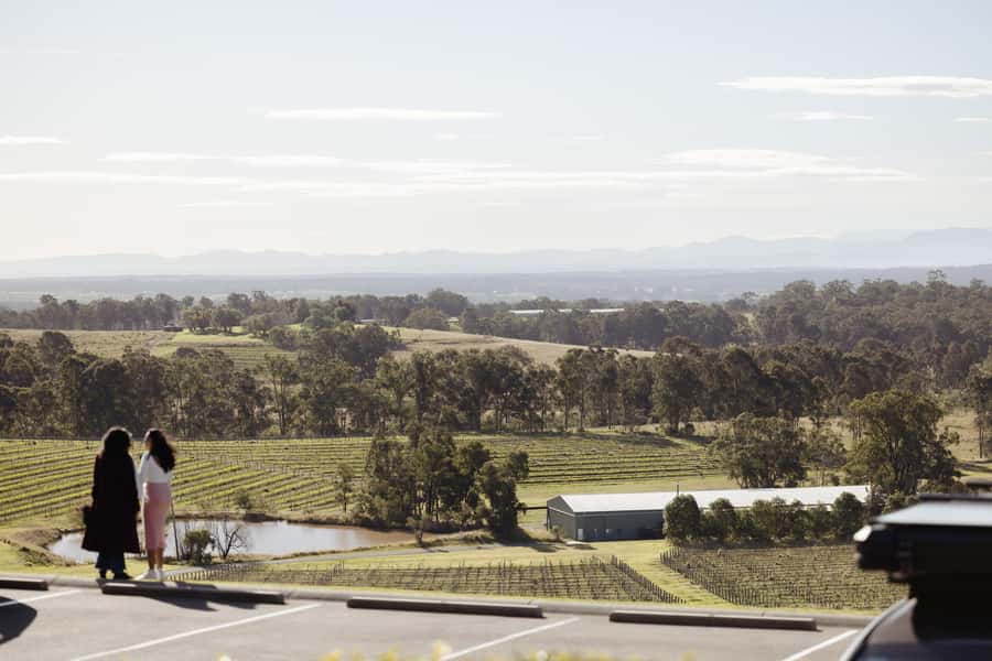 Hunter Valley: Wine Tour with 2-Course Lunch, Choc & Cheese - The Pace, Group Dynamics, and What to Expect from the Guide
