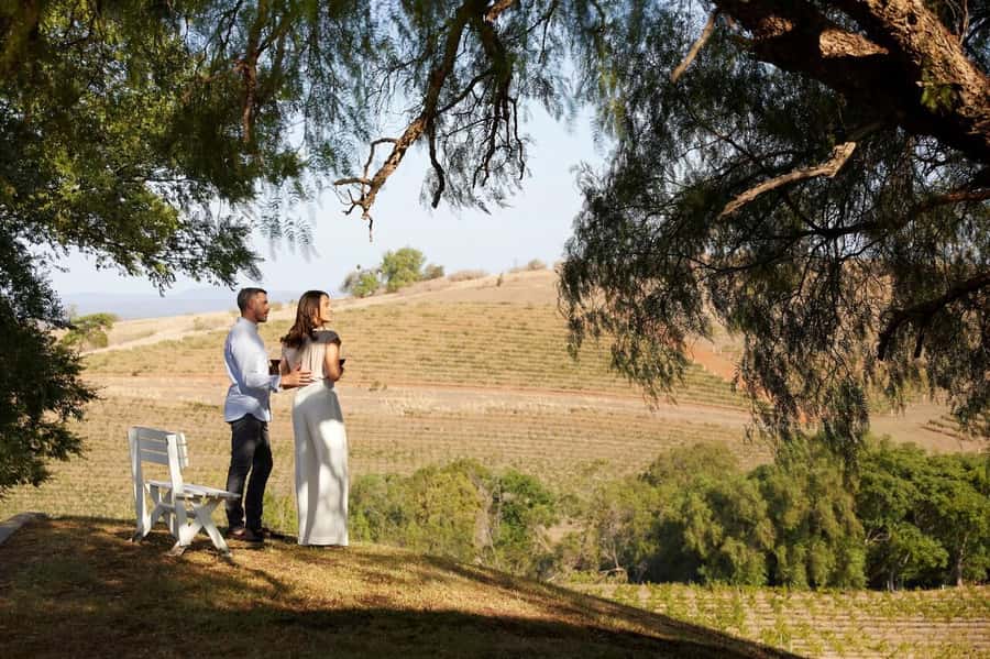 Hunter Valley: Wine Tour with 3 Tastings and Garden Lunch - Price and value: is $166 a good deal for 3 tastings plus lunch?