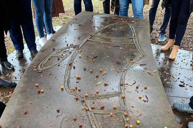 illi-Langi The Rocks Aboriginal Dreaming Tour - Stop 4: Hickson Road Reserve and rock art as an old gallery