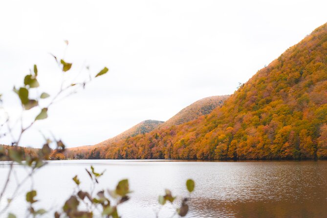 Ingonish and Keltic Lodge 6 Hours Cabot Trail Tour - Key things to know before you go