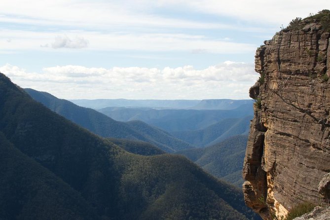 Inside the Greater Blue Mountains World Heritage - A Private Wildlife Safari Overnight - Key highlights worth planning for
