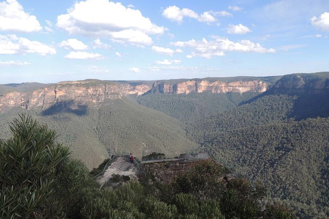 Inside the Greater Blue Mountains World Heritage - A Private Wildlife Safari Overnight - Wentworth Falls Undercliff Circuit: canyon views with actual walking time