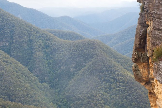 Inside the Greater Blue Mountains World Heritage - A Private Wildlife Safari Overnight - Blackheath lunch plan and Pulpit Rock: food break meets crowd relief