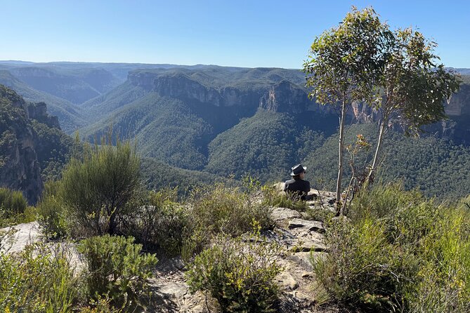 Intimate Blue Mountains Wild Kangaroos & Sunset for Nature Lovers - Narrow Neck Plateau sunset and Echo Point’s Three Sisters view