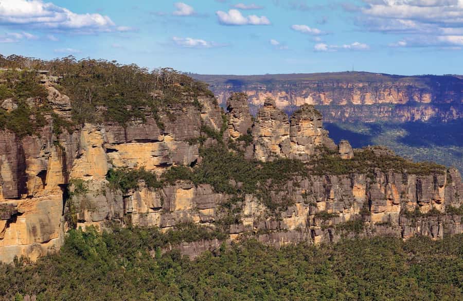 Japanese Tour Small Group: Blue Mountains, Scenic World, Zoo - What You’re Really Paying For: Value at $155 per Person