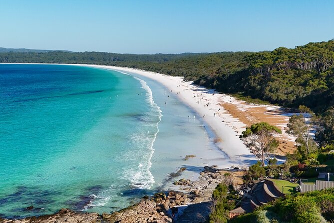 Jervis Bay Highlights Tour – Small Group Experience Scenic Coast - A 7:00 am departure that makes the coast feel less crowded