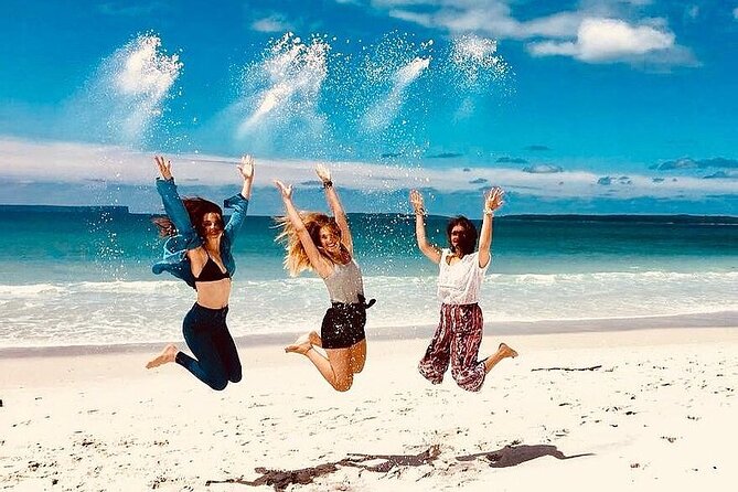 Jervis Bay Tour with Dolphins, Kangaroos & World's Whitest Beach - Key takeaways before you go