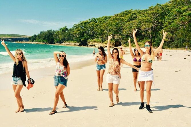 Jervis Bay Tour with Dolphins, Kangaroos & World's Whitest Beach - Booderee National Park and Cave Beach: kangaroos where you can actually see them