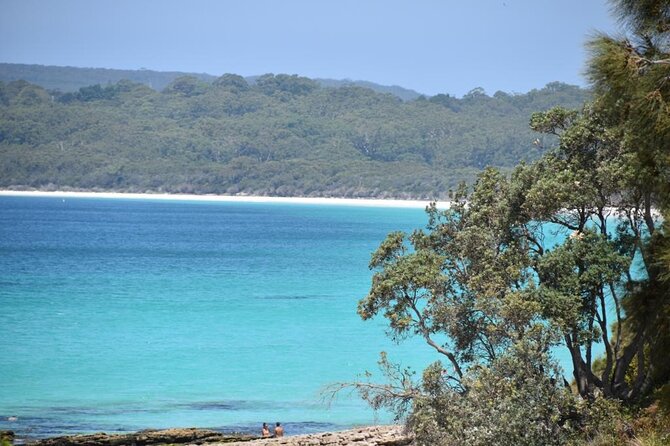 Jervis Bay Tour with Dolphins, Kangaroos & World's Whitest Beach - The long-day reality: plan for comfort, wind, and timing