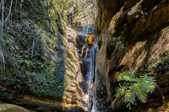 Juggler Canyon and Abseiling Adventure Blue Mountains - Lunch in the Blue Mountains: not an afterthought, a fuel stop