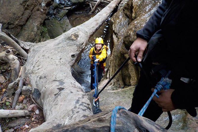 Juggler Canyon and Abseiling Adventure Blue Mountains - Should you book this Juggler Canyon and Abseiling Adventure?
