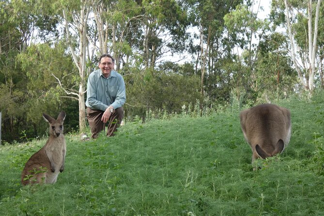 Kangaroo Wildlife Half Day Small Group Tour From Sydney - Berowra Water National Park Walk: Bushland Footsteps and Rocky-Ridge Views