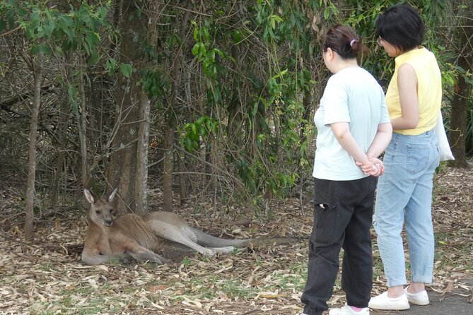 Kangaroo Wildlife Half Day Small Group Tour From Sydney - Price Check: Is $118.07 Worth It for a Half-Day Wildlife Tour?