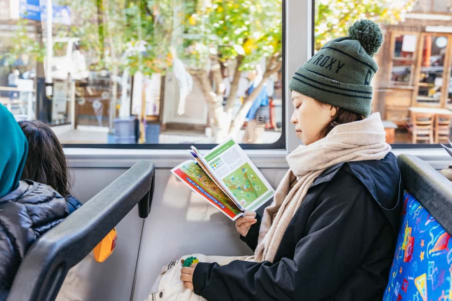 Katoomba: Lyrebird Hop-On Hop-Off and Scenic World Pass - Crowd and weather reality checks