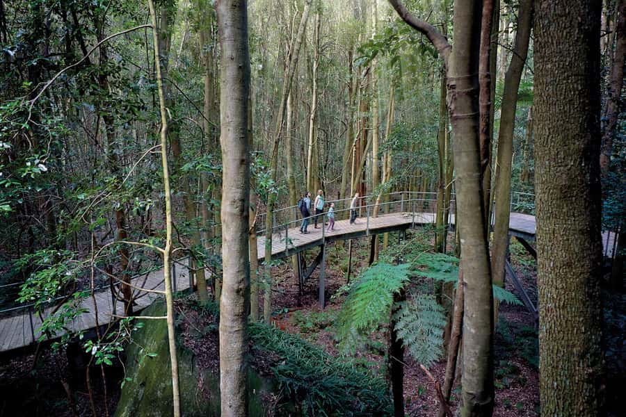 Katoomba: Scenic World 1-Day Unlimited Discovery Pass - Value for $43: why the unlimited math often wins